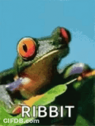 Frog With Red Eyes Sitting On Leaf Saying Ribbit GIF