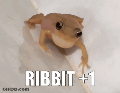 Frog With Ribbit +1 GIF
