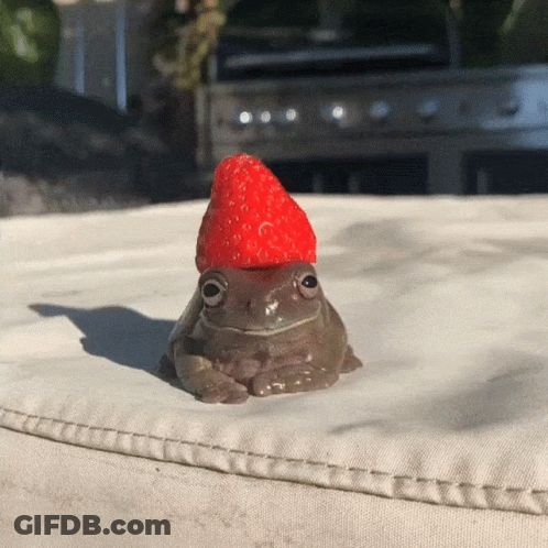 Frog With Strawberry On Head Sitting On Cushion GIF