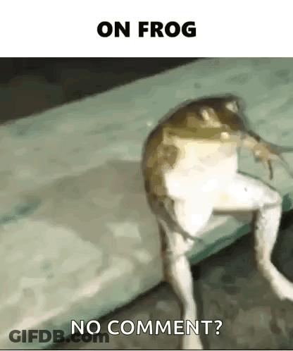 Frog Without Legs Says No Comment GIF