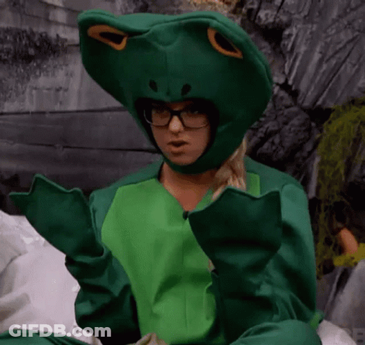 Froggy Costume Big Brother Again GIF