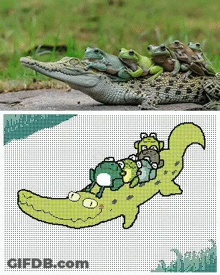 Frogs Sitting On Crocodile Back GIF