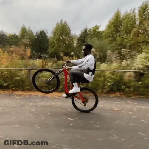 Front Wheel Bike Riding Stunt Display GIF