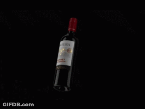 Frontera Cabernet Sauvignon Wine Bottle GIF