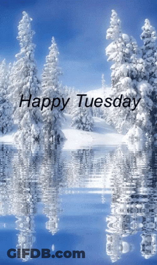 Frosty Tuesday Meme GIF