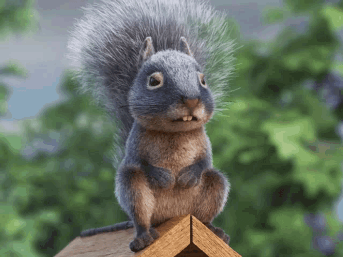 Frowning Squirrel Sigh GIF