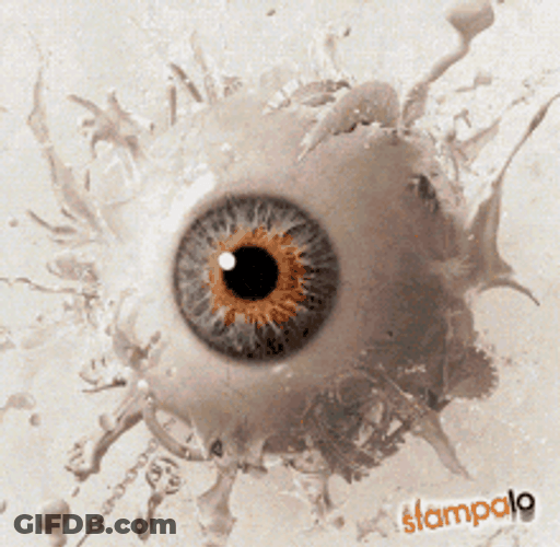 Frozen Eyeball Looking Around GIF
