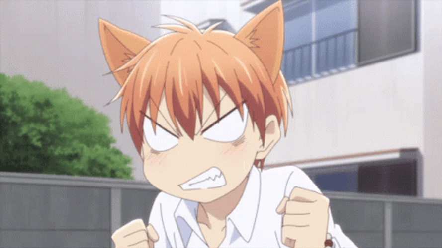 Fruits Basket Mad Cat Kyo Soma GIF