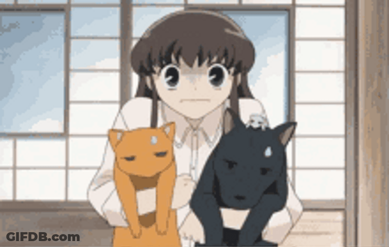 Fruits Basket Tohru Honda's Cute Cat And Dog GIF