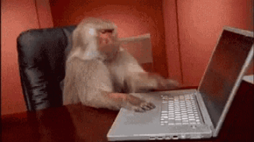 Frustrated Monkey Typing GIF
