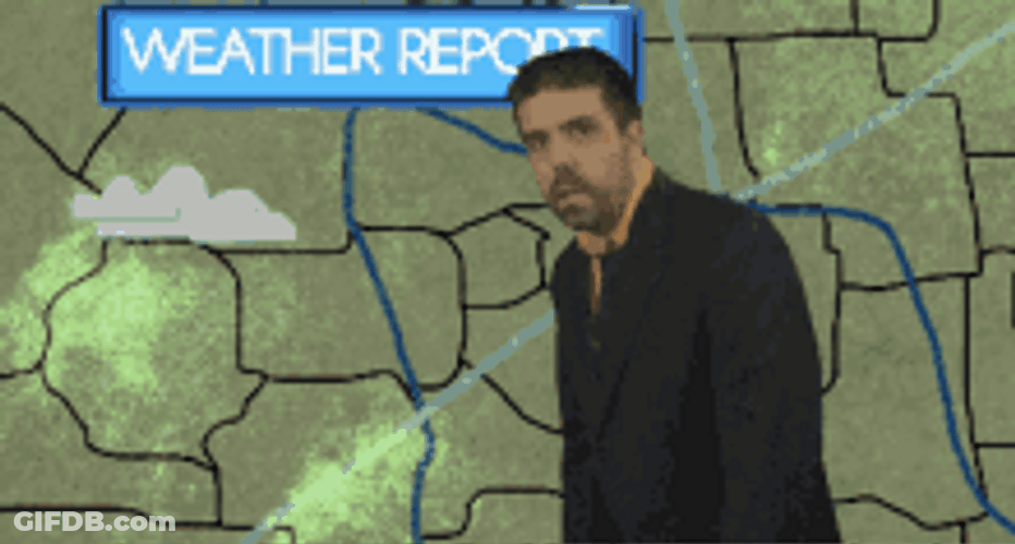 Frustrated Weather Reporter GIF
