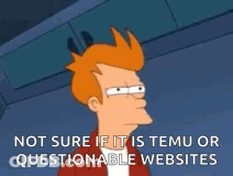 Fry From Futurama Questioning Websites GIF