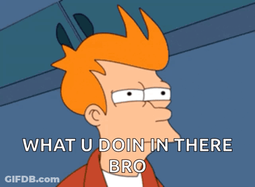Fry Futurama What U Do In There Bro GIF