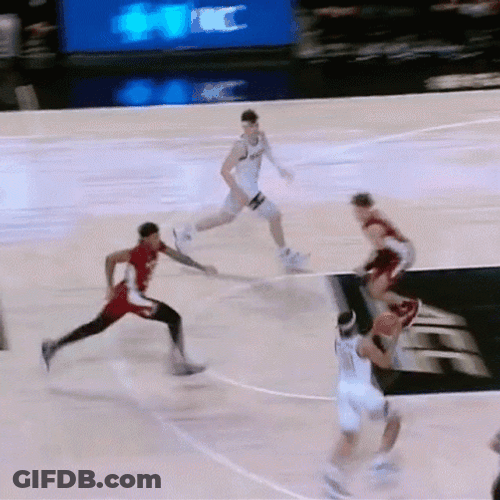 Fsu Basketball Team GIF