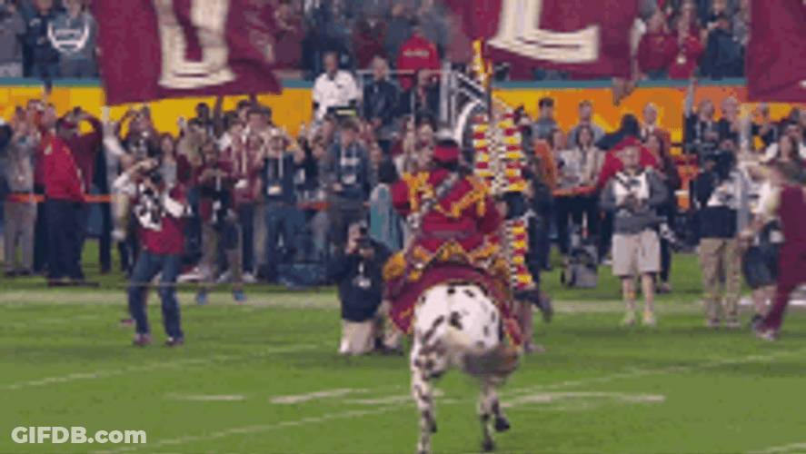 Fsu Chaotic Parade Horse Tripped GIF