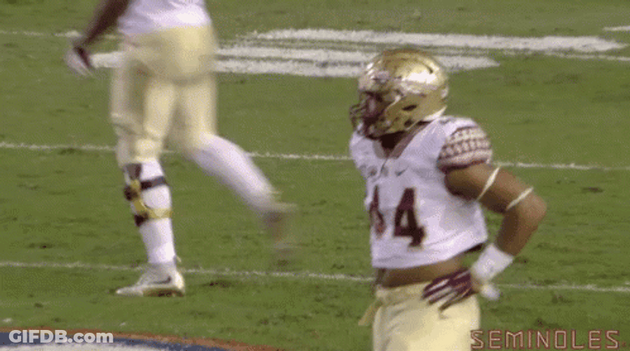 Fsu Crossed Arms Player GIF