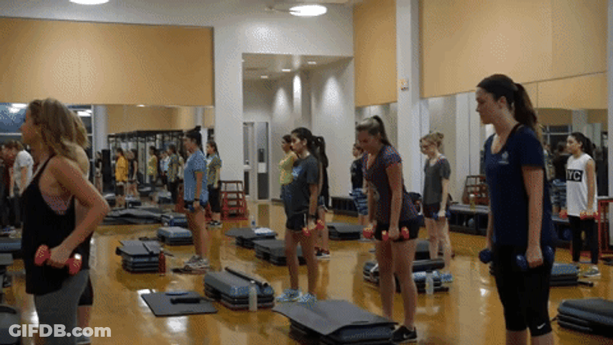 Fsu Fitness Training GIF