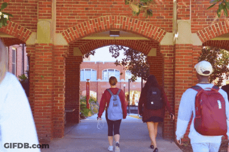 Fsu Main Entrance GIF