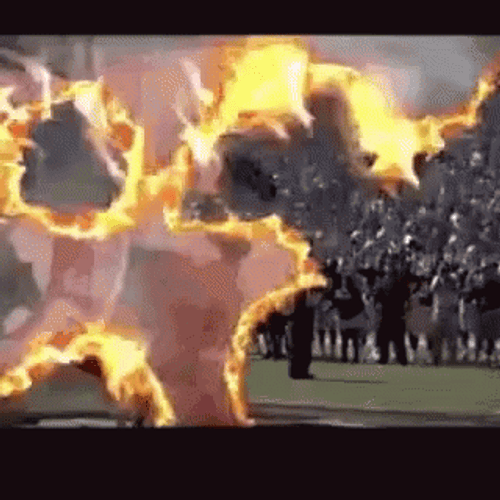Fsu Riding Horse Opening GIF