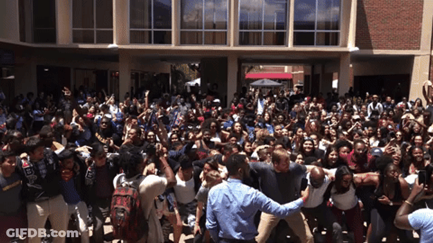 Fsu Student Festival GIF