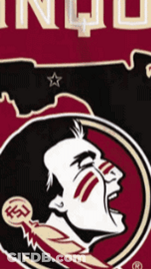 Fsu Team Advertisement GIF