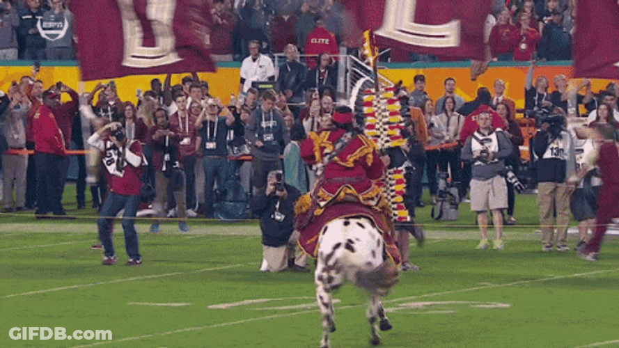 Fsu Terrified Horse GIF