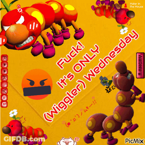 Fuck It's Only Wednesday Wiggler Poster GIF