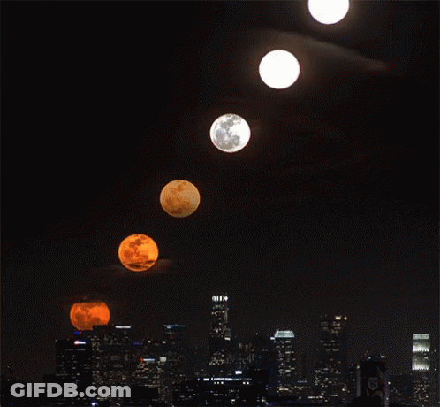 Full Moon Above City Skyline GIF