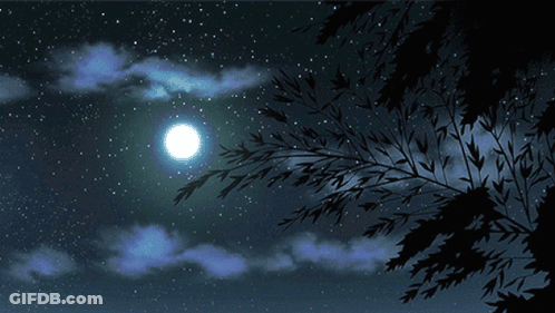 Full Moon Above Tree Branch GIF