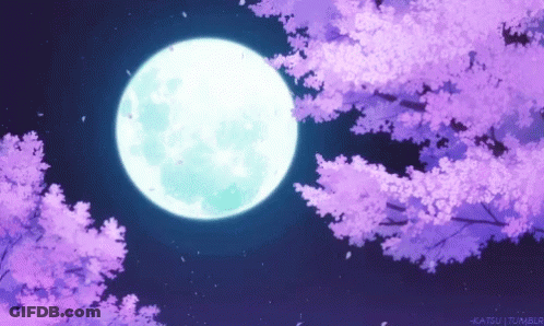 Full Moon Among Purple Cherry Blossom Trees GIF