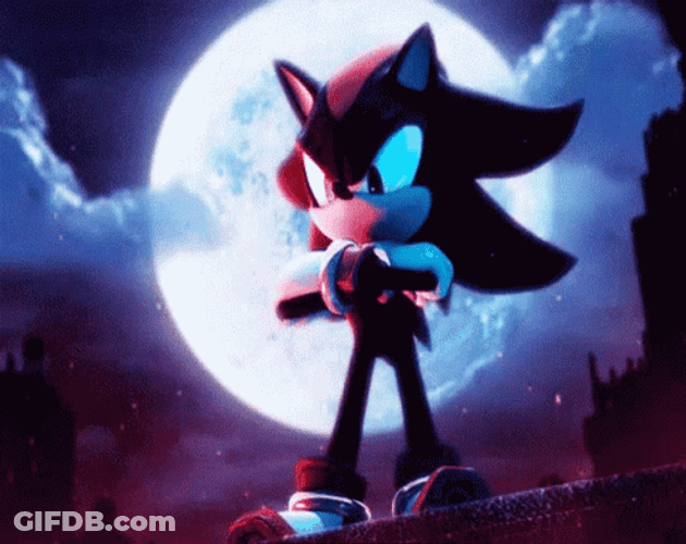 Full Moon And Shadow The Hedgehog GIF