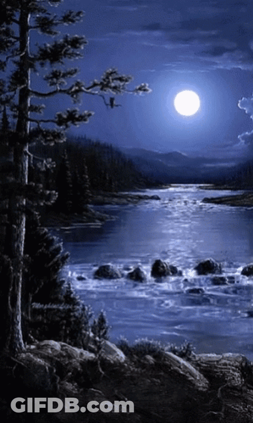 Full Moon Beautiful River Nature GIF