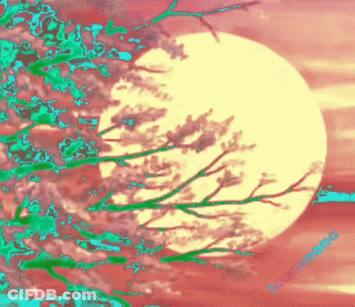 Full Moon Behind Tree With Flowers GIF