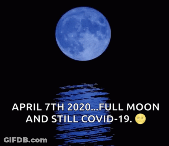 Full Moon Blue Color GIF