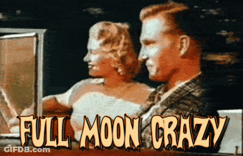 Full Moon Crazy Wolf Face Meme GIF