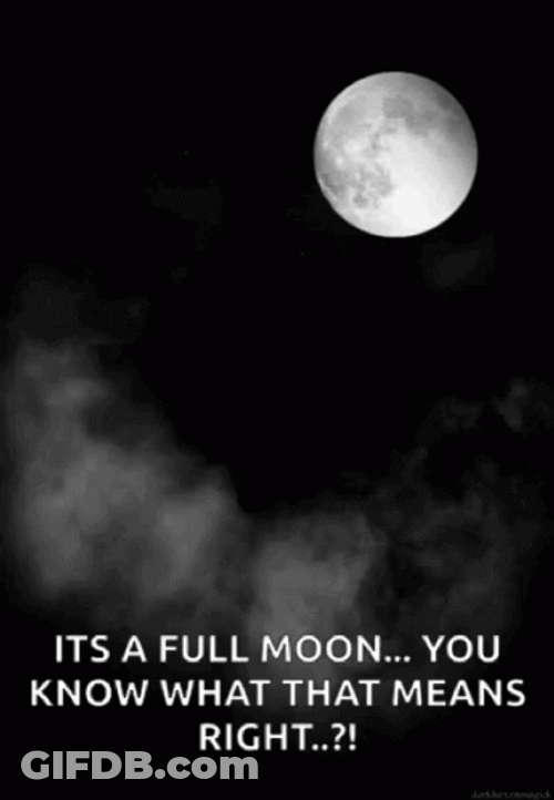 Full Moon Dark Night Meme GIF