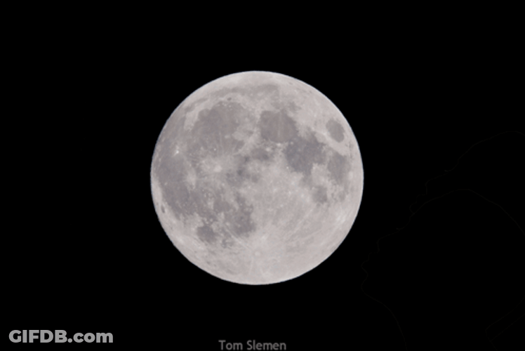 Full Moon Honeymoon Couple GIF