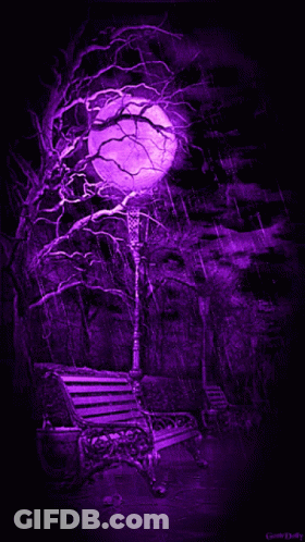 Full Moon In A Park GIF