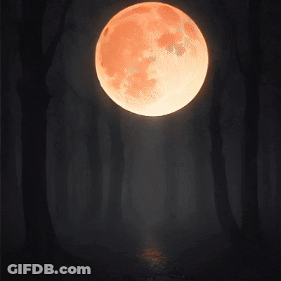 Full Moon In Dark Forest With Silhouetted Trees GIF