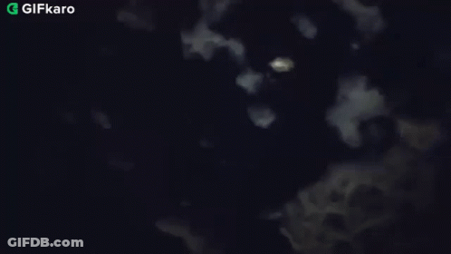 Full Moon In Night Sky GIF