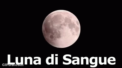 Full Moon Luna Di Sangue GIF