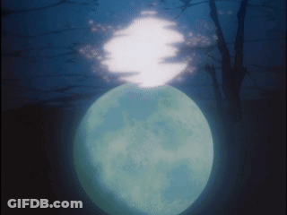 Full Moon Over Trees GIF