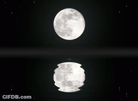 Full Moon Reflected In Dark Pool GIF