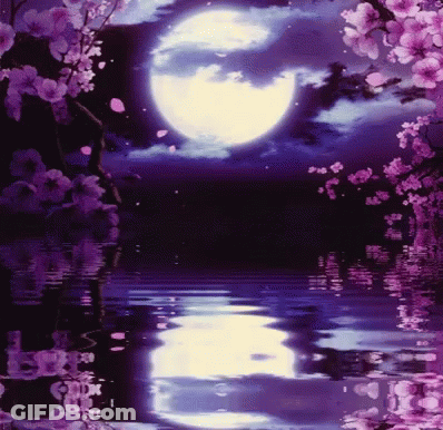 Full Moon Reflected In Water With Purple Flowers GIF