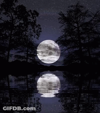 Full Moon Reflected In Water With Trees GIF