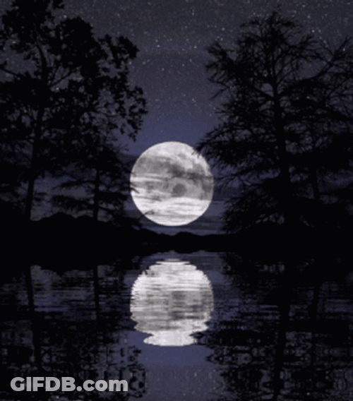 Full Moon Reflection On Water GIF
