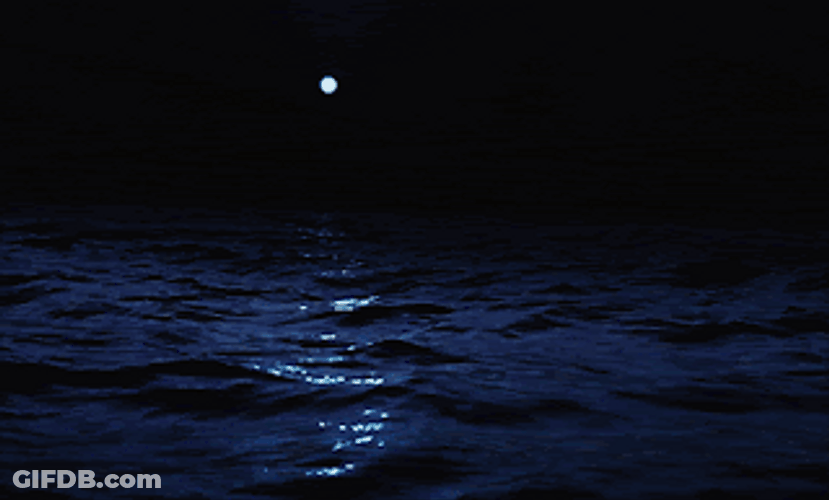 Full Moon Reflection Over The Sea GIF