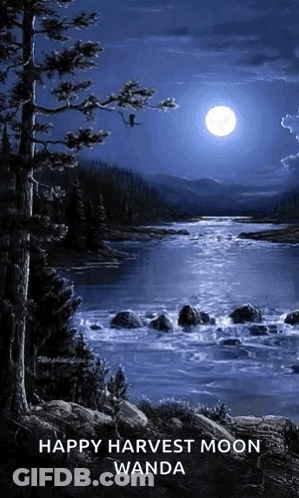 Full Moon Shining Over River With Trees GIF