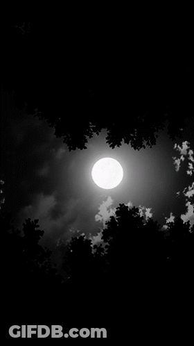 Full Moon Through Trees GIF