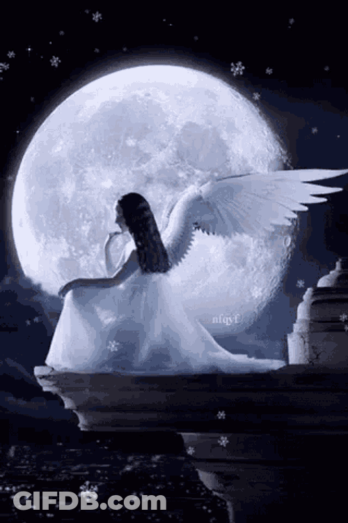 Full Moon Wings GIF